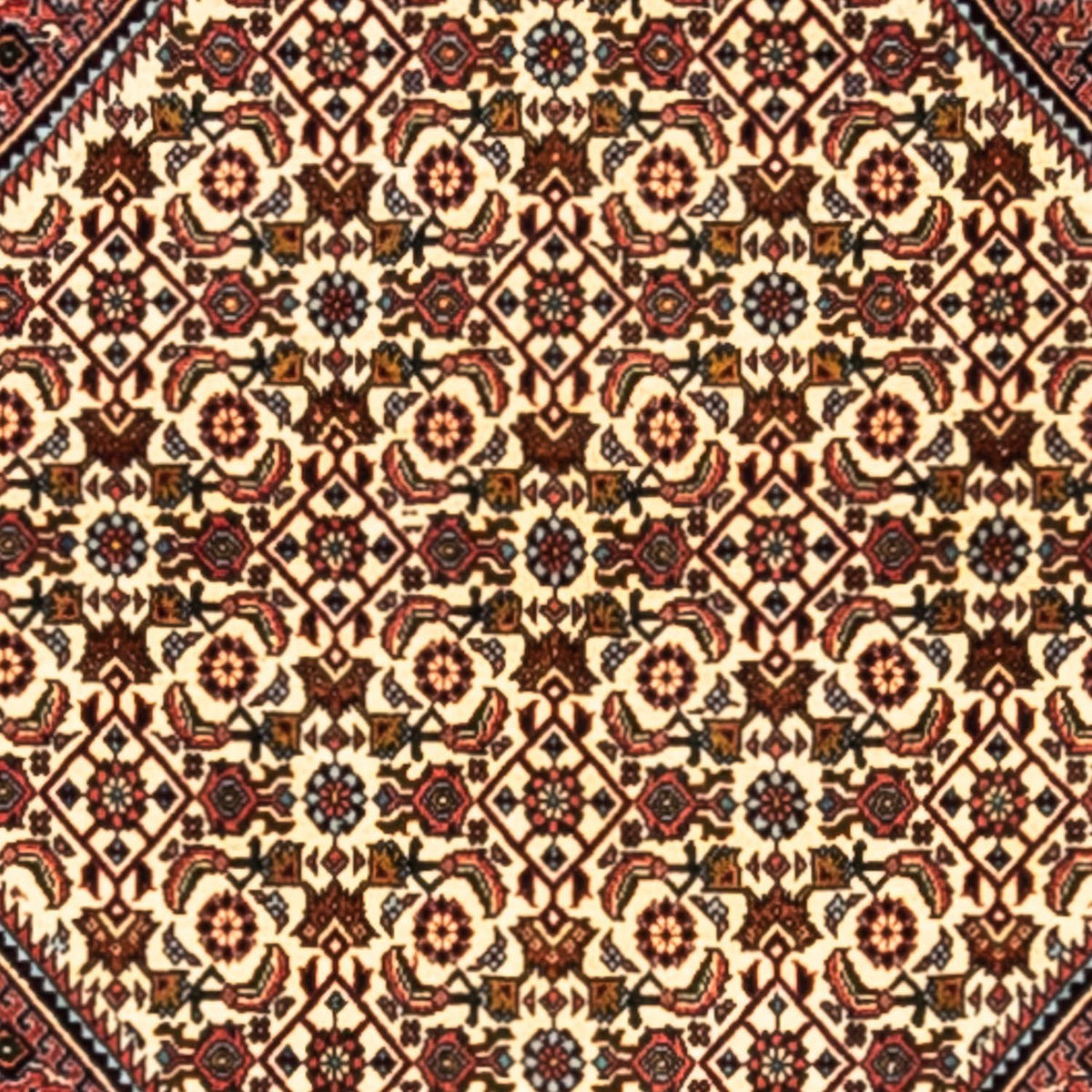 Tapis persan - Bidjar - 291 x 200 cm - rouge