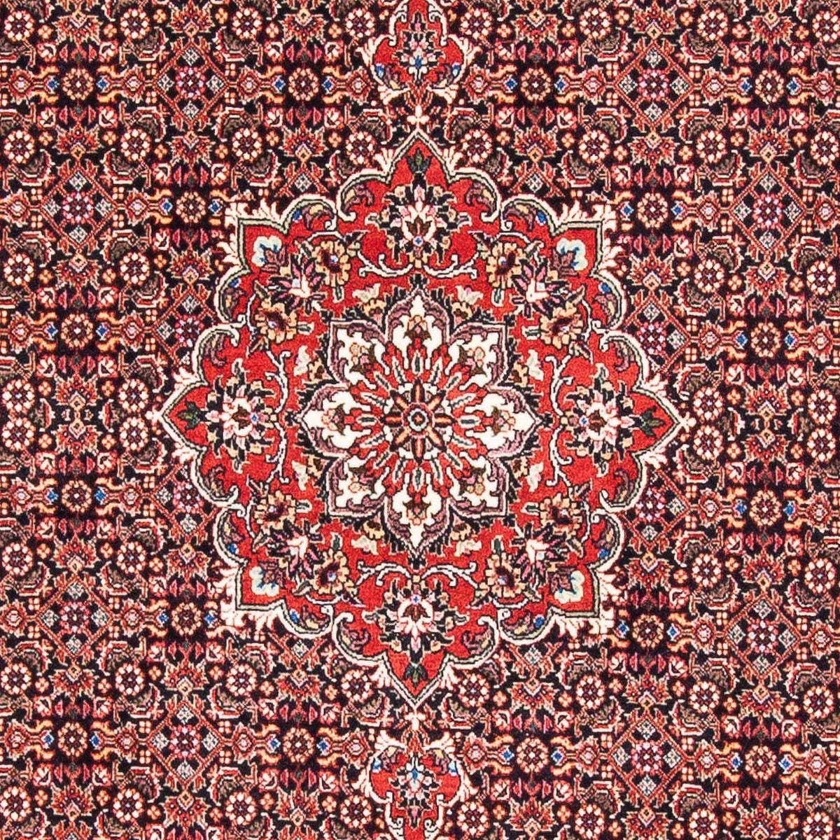 Tapis persan - Bidjar - 170 x 109 cm - rouge