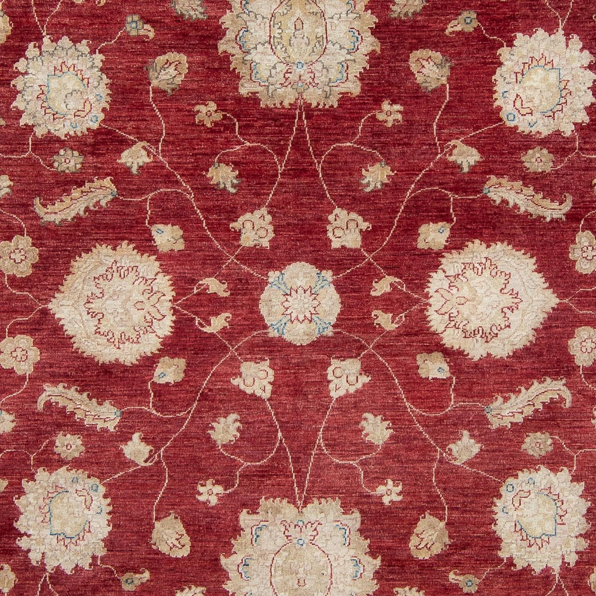 Tapis Ziegler - 300 x 238 cm - rouge