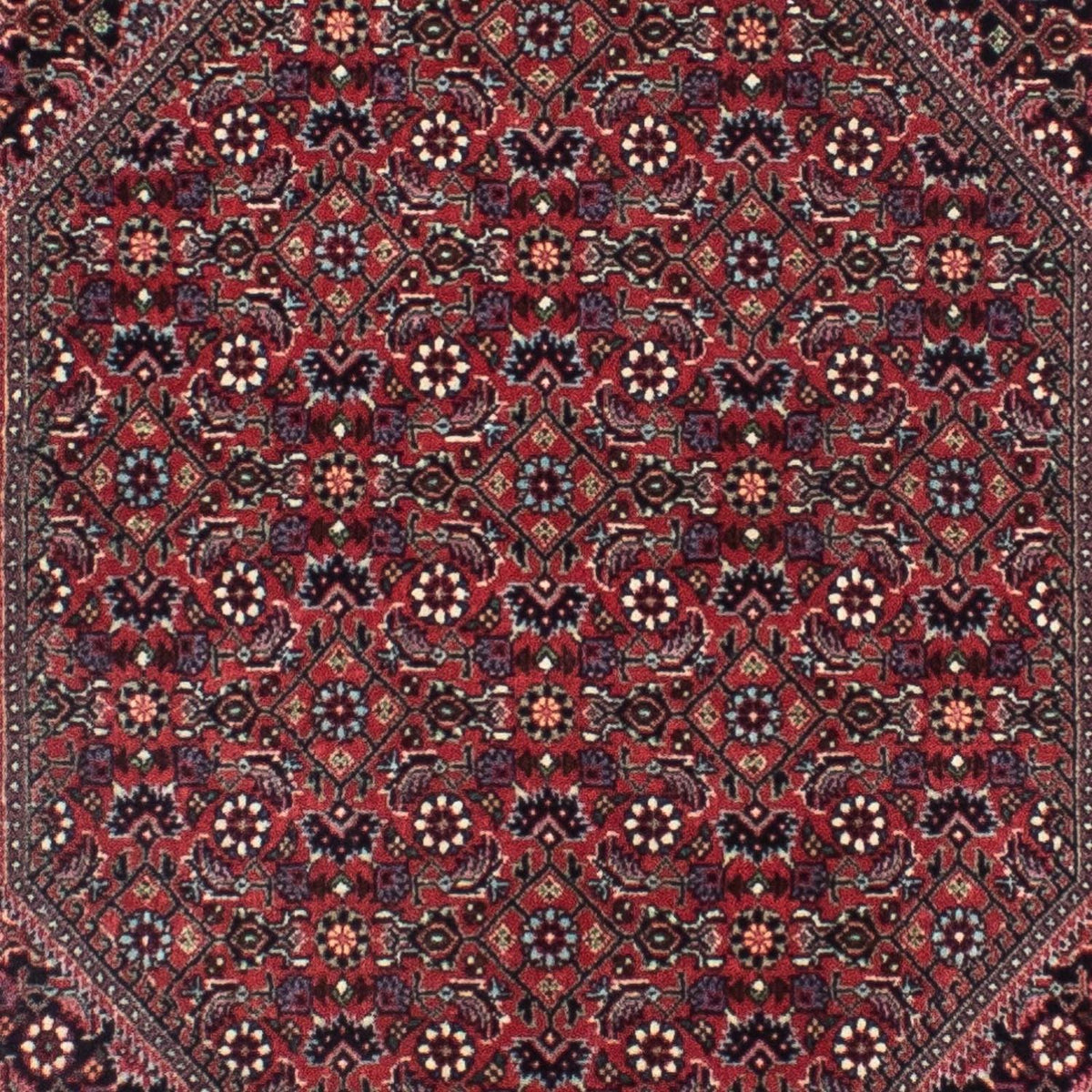 Tapis de couloir Tapis persan - Bidjar - 313 x 84 cm - bleu foncé