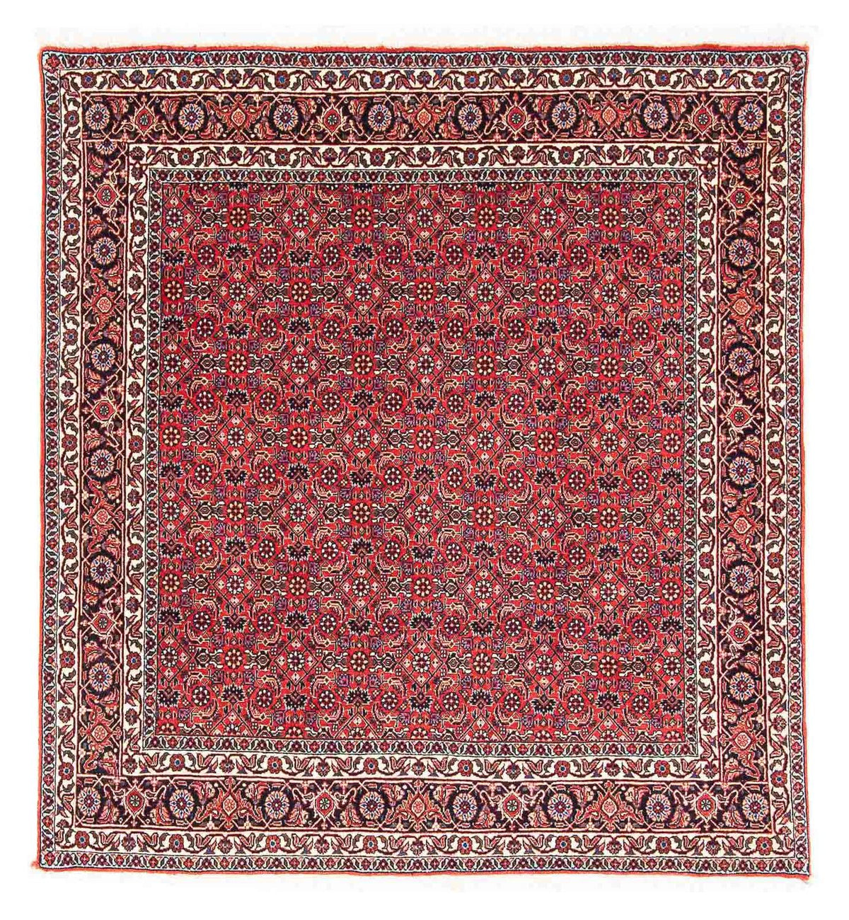Tapis persan - Bidjar carré  - 126 x 124 cm - rouge