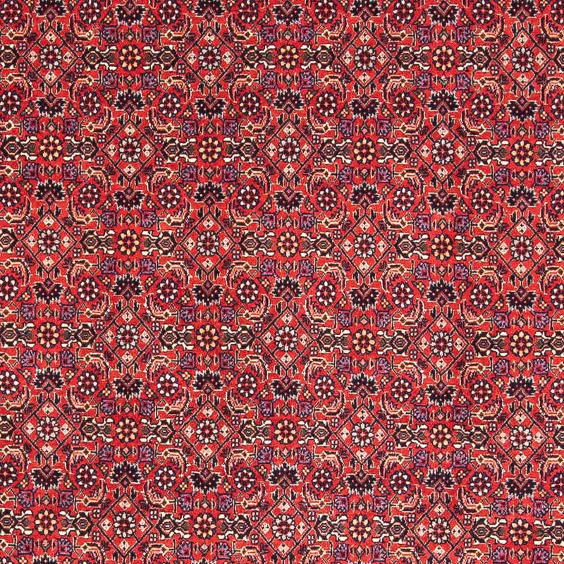Tapis persan - Bidjar carré  - 126 x 124 cm - rouge