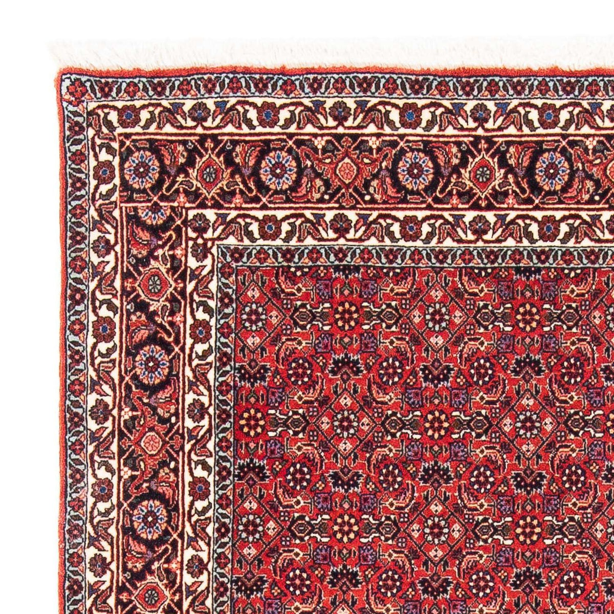 Tapis persan - Bidjar carré  - 126 x 124 cm - rouge