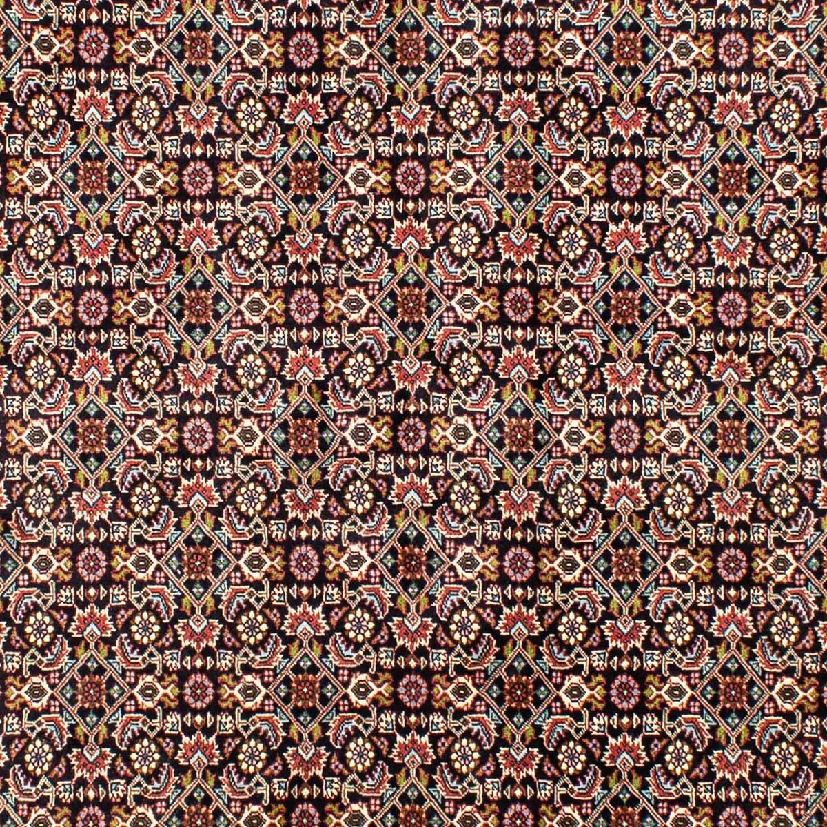 Tapis persan - Bidjar - 248 x 173 cm - bleu foncé