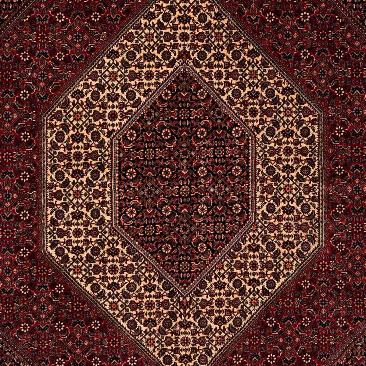 Tapis persan - Bidjar - 255 x 202 cm - rouge foncé