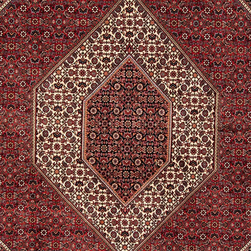 Tapis persan - Bidjar - 252 x 205 cm - rouge foncé