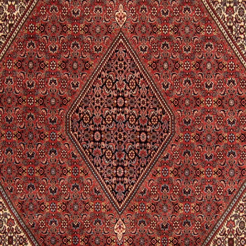 Tapis persan - Bidjar - 343 x 250 cm - rouge foncé