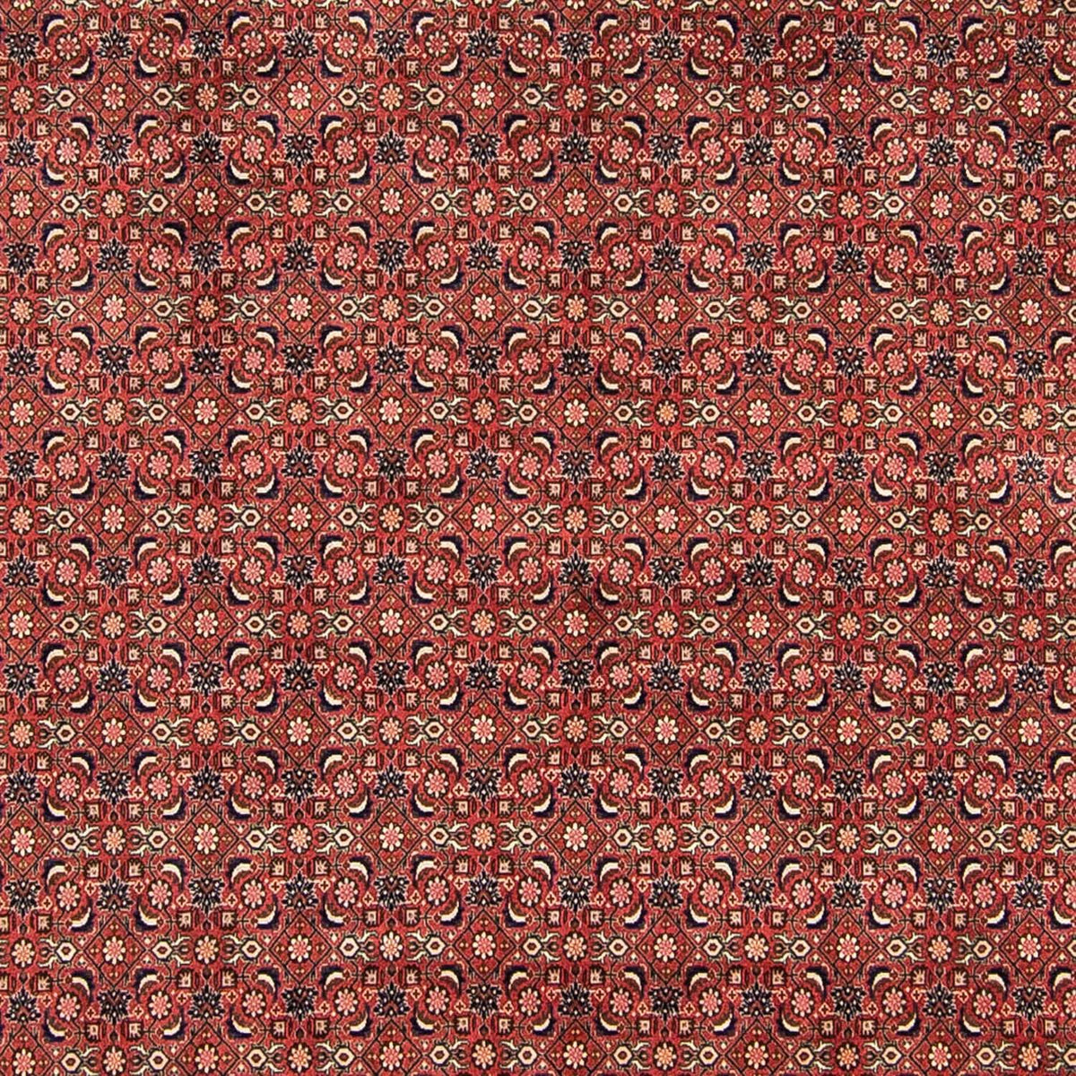 Tapis persan - Bidjar - 316 x 252 cm - rouge
