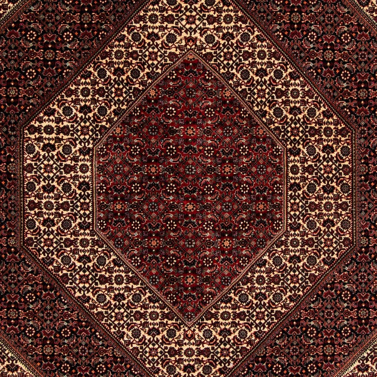 Tapis persan - Bidjar - 262 x 203 cm - rouge foncé