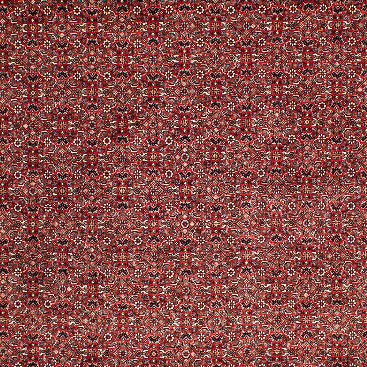 Tapis persan - Bidjar - 302 x 210 cm - rouge foncé