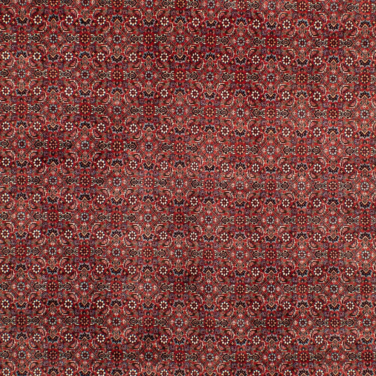 Tapis persan - Bidjar - 299 x 202 cm - rouge foncé