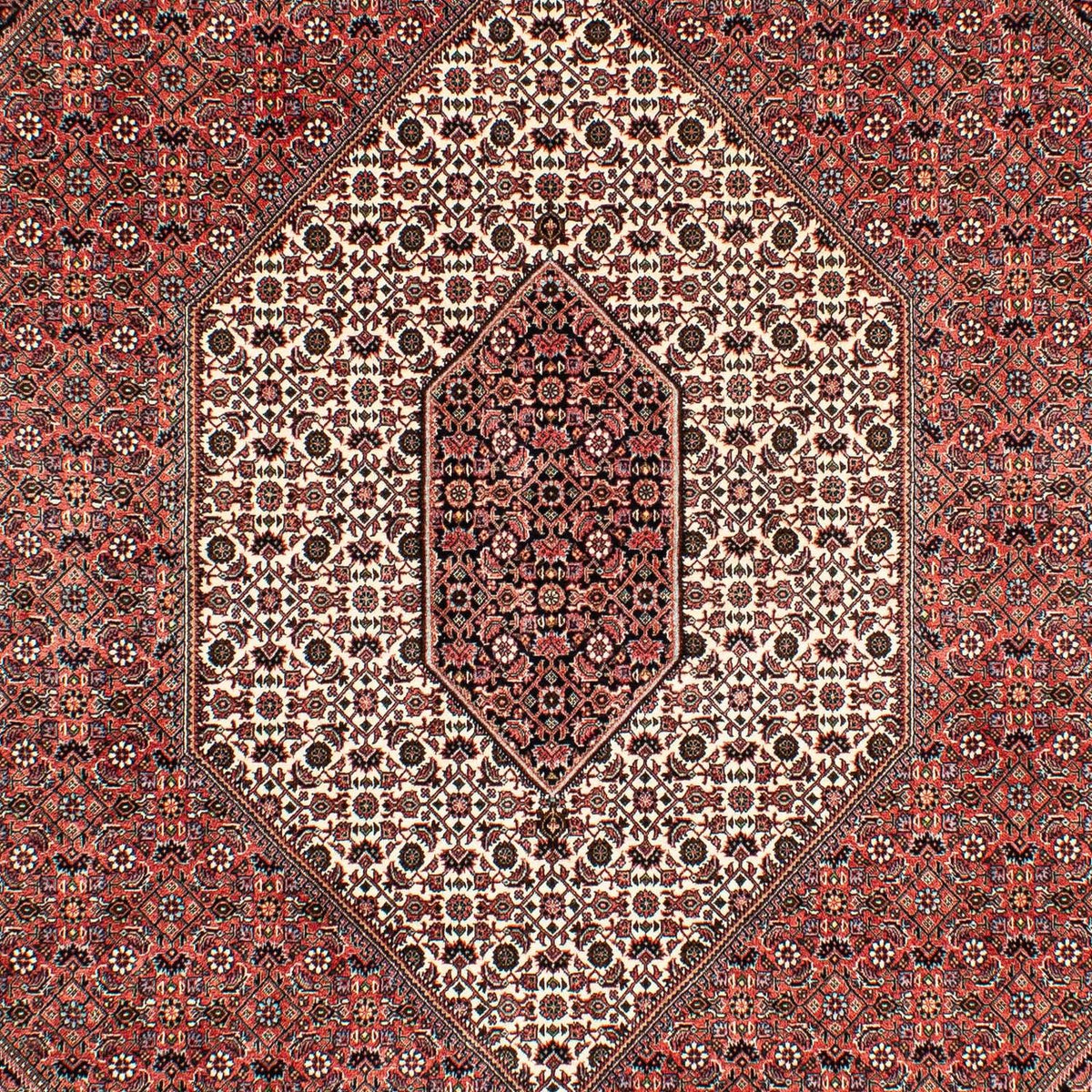 Tapis persan - Bidjar - 293 x 203 cm - rouge clair