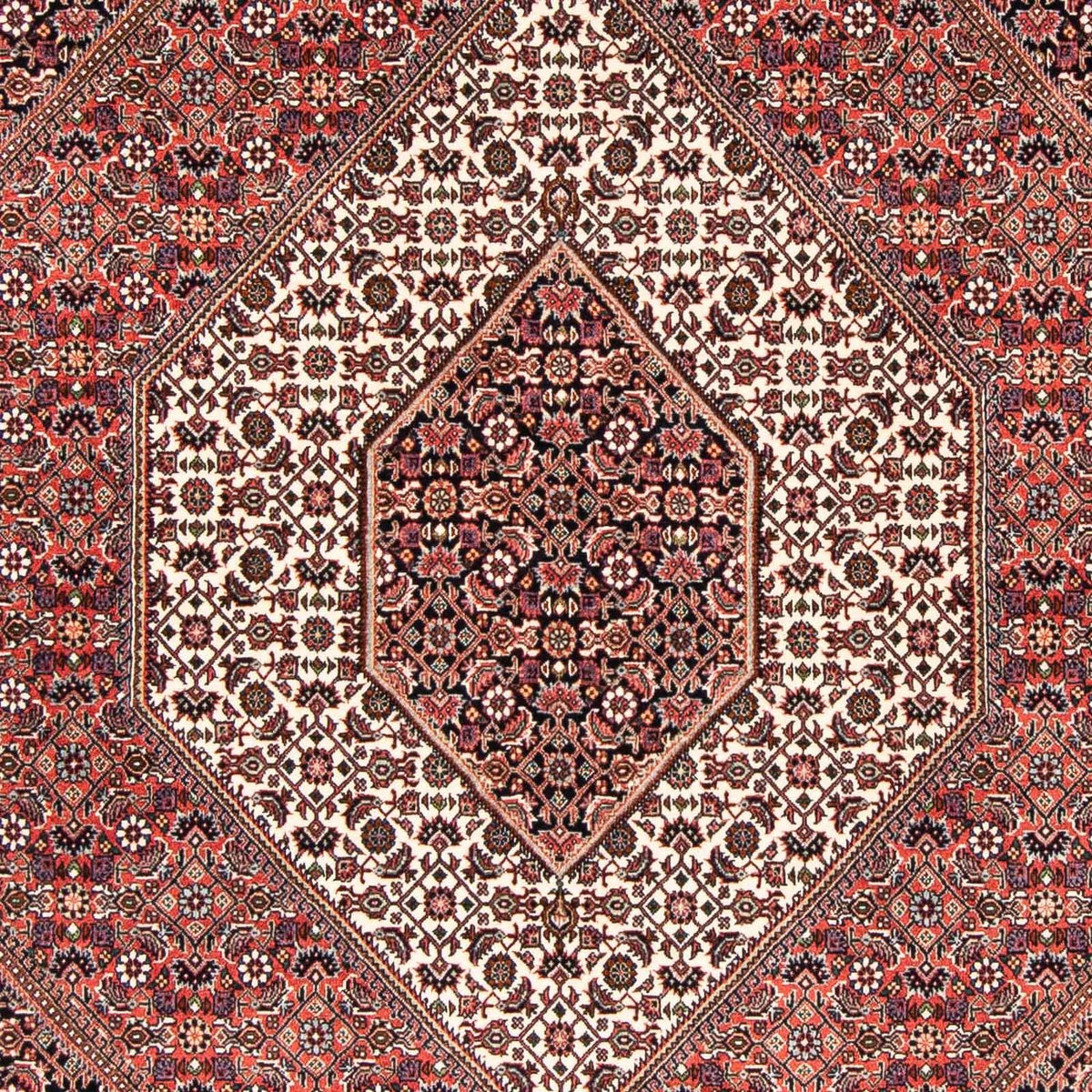 Tapis persan - Bidjar - 227 x 171 cm - rouge clair