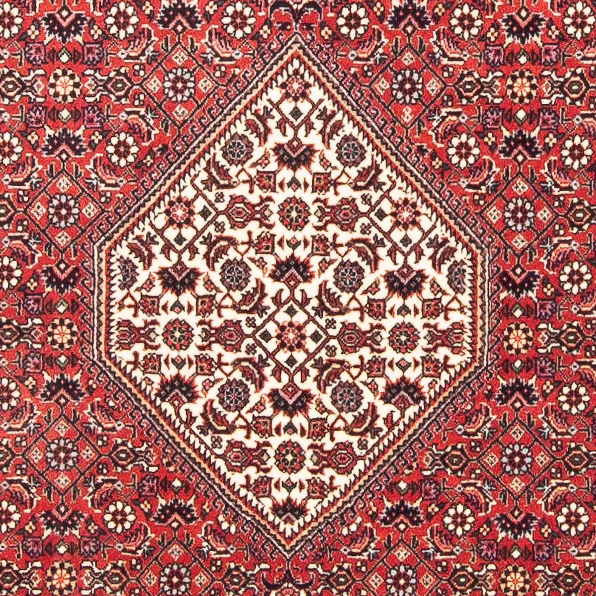 Tapis persan - Bidjar carré  - 112 x 100 cm - rouge