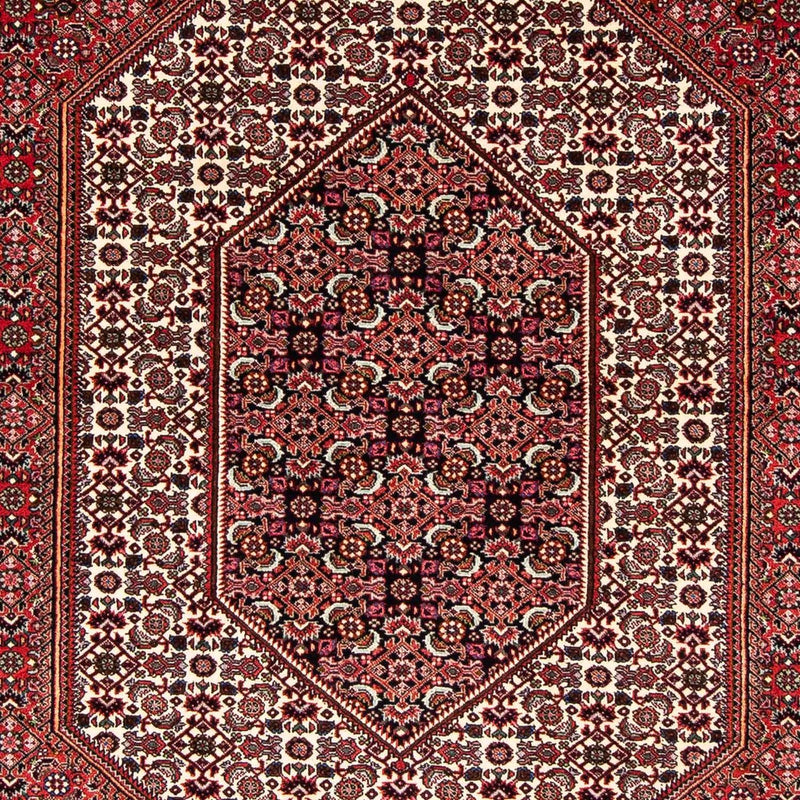 Tapis persan - Bidjar - 255 x 153 cm - rouge foncé