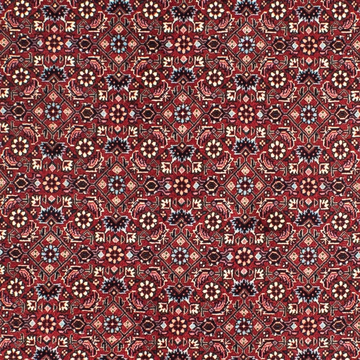Tapis persan - Bidjar ronde  - 155 x 155 cm - rouge foncé