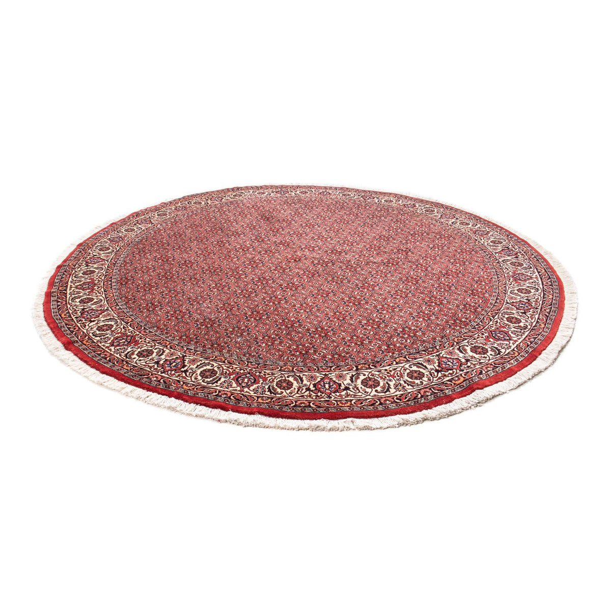 Tapis persan - Bidjar ronde  - 255 x 255 cm - rouge foncé