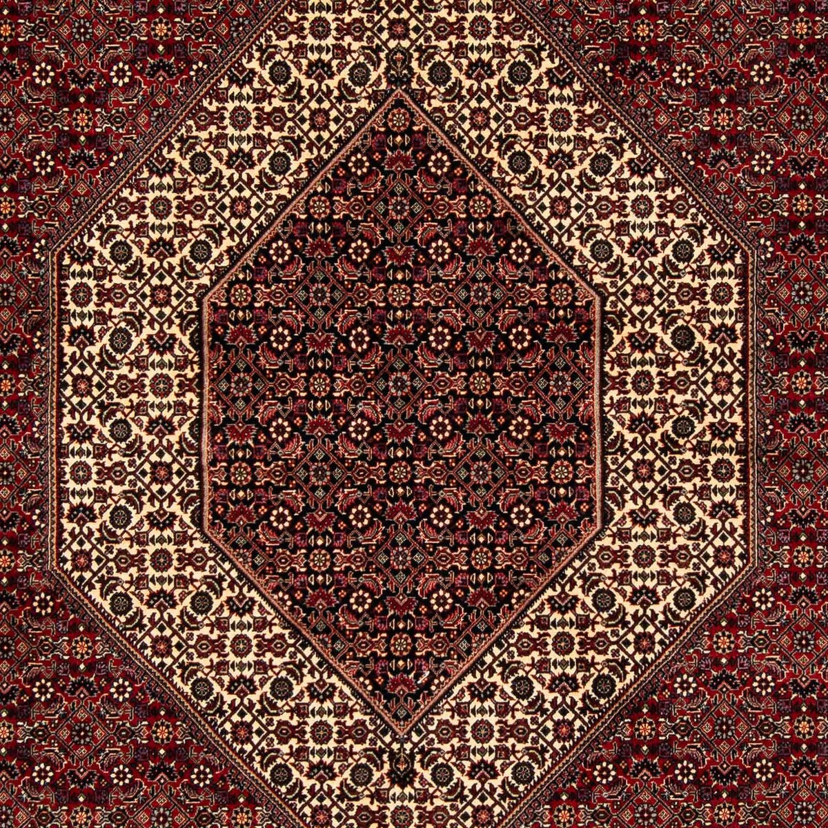 Tapis persan - Bidjar - 254 x 205 cm - rouge foncé