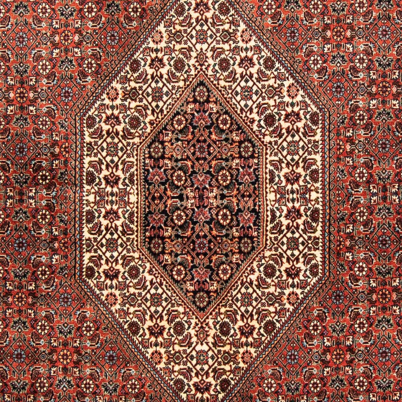 Tapis persan - Bidjar - 252 x 150 cm - rouge