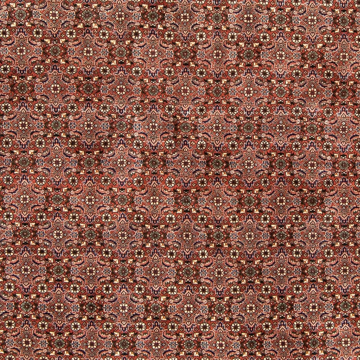 Tapis persan - Bidjar - 235 x 167 cm - rouge clair