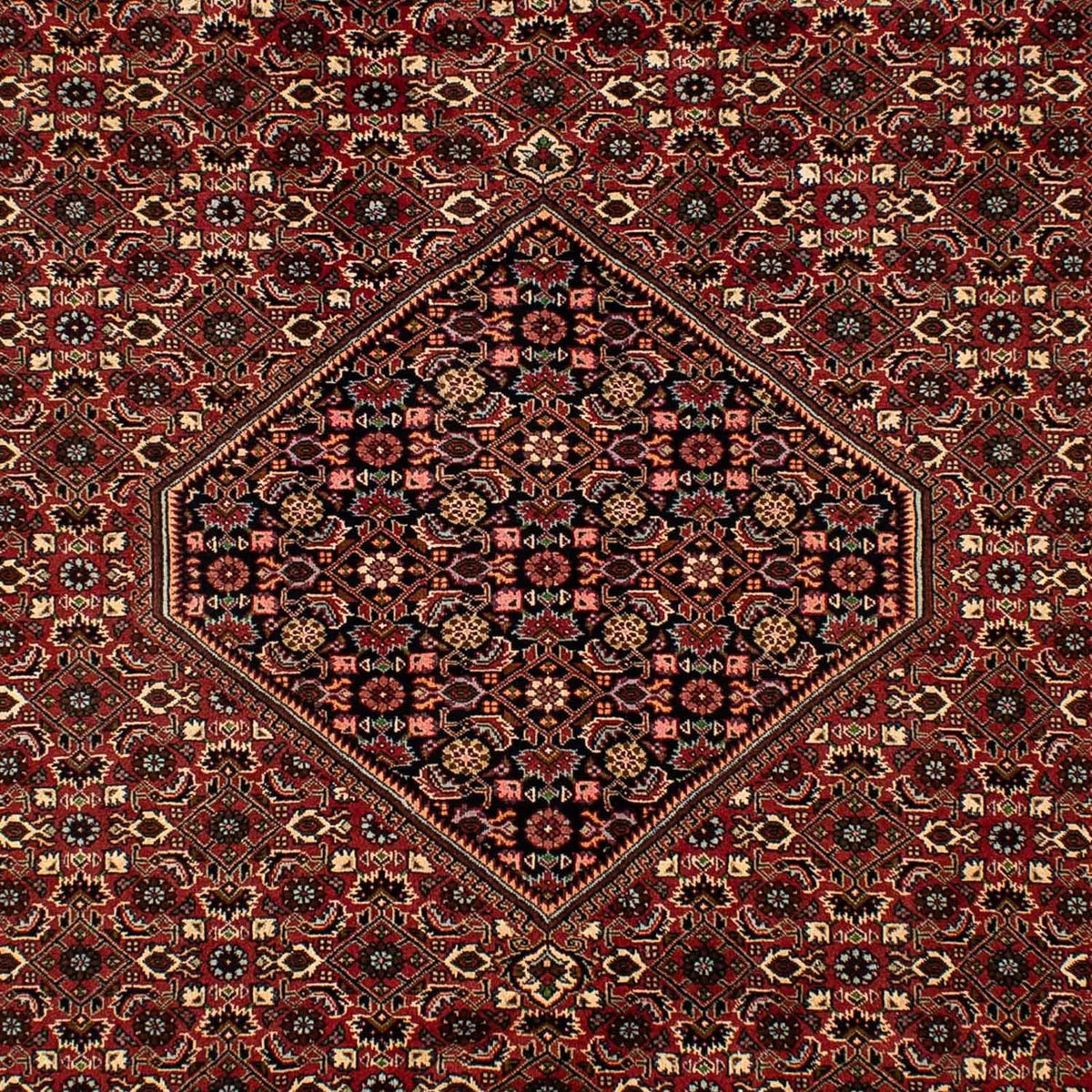 Tapis persan - Bidjar - 297 x 202 cm - rouge foncé