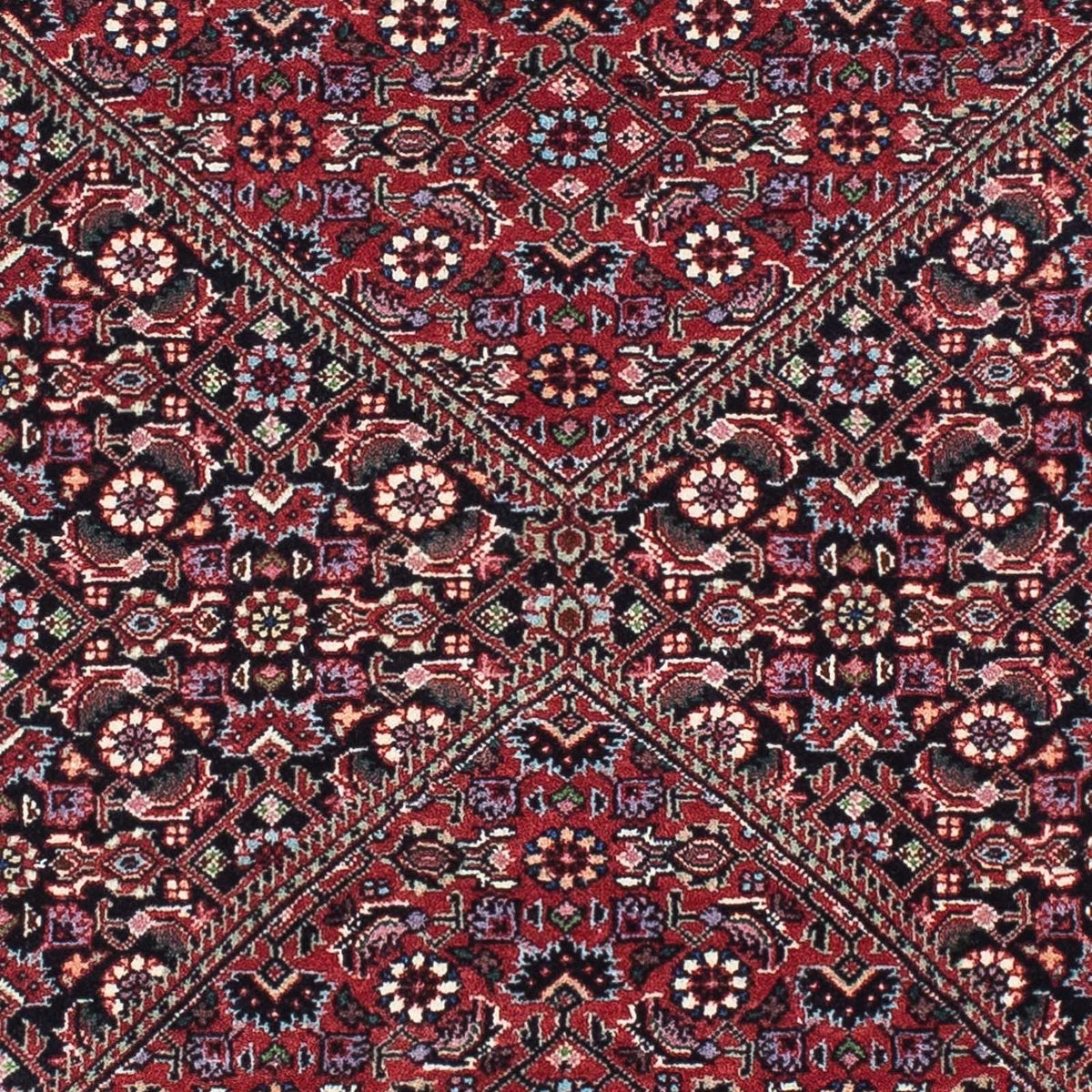 Tapis de couloir Tapis persan - Bidjar - 193 x 76 cm - rouge