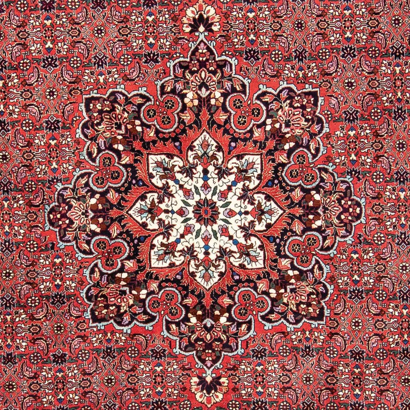 Tapis persan - Bidjar - 240 x 170 cm - rouge