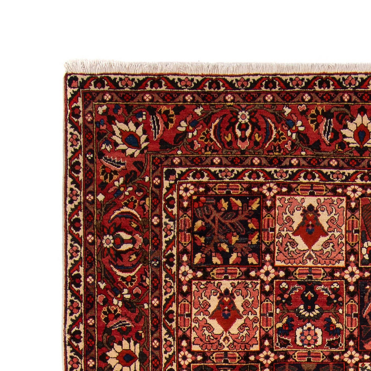 Tapis persan - Nomadic - 365 x 265 cm - marron