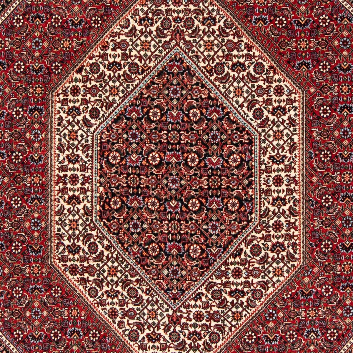 Tapis persan - Bidjar - 237 x 173 cm - rouge foncé