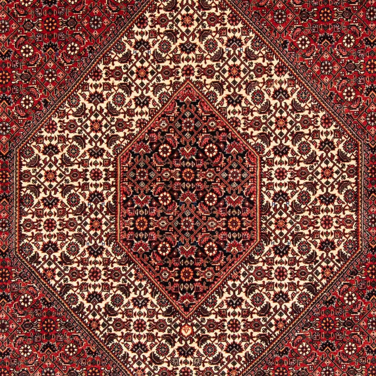 Tapis persan - Bidjar - 232 x 153 cm - rouge