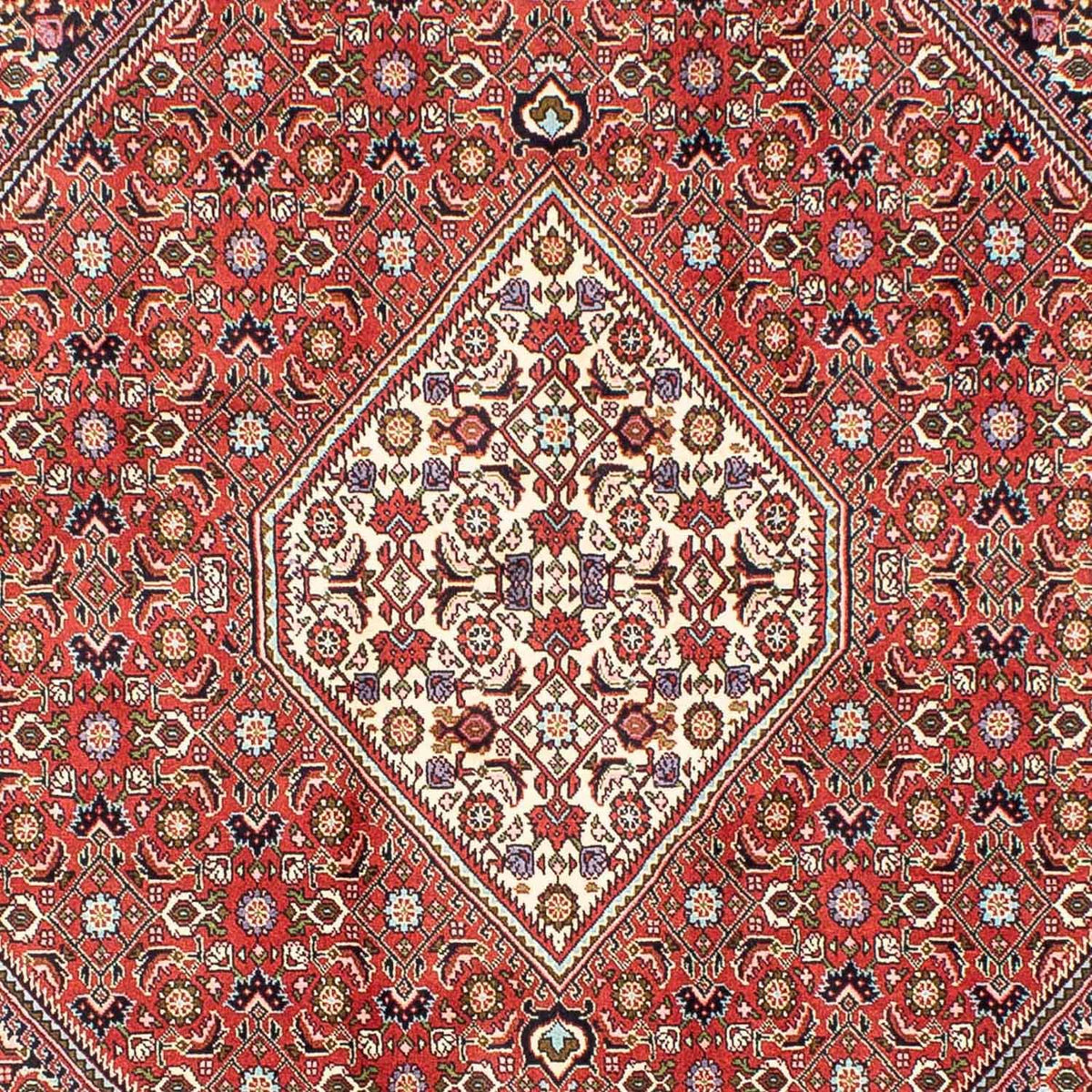 Tapis persan - Bidjar - 240 x 173 cm - rouge