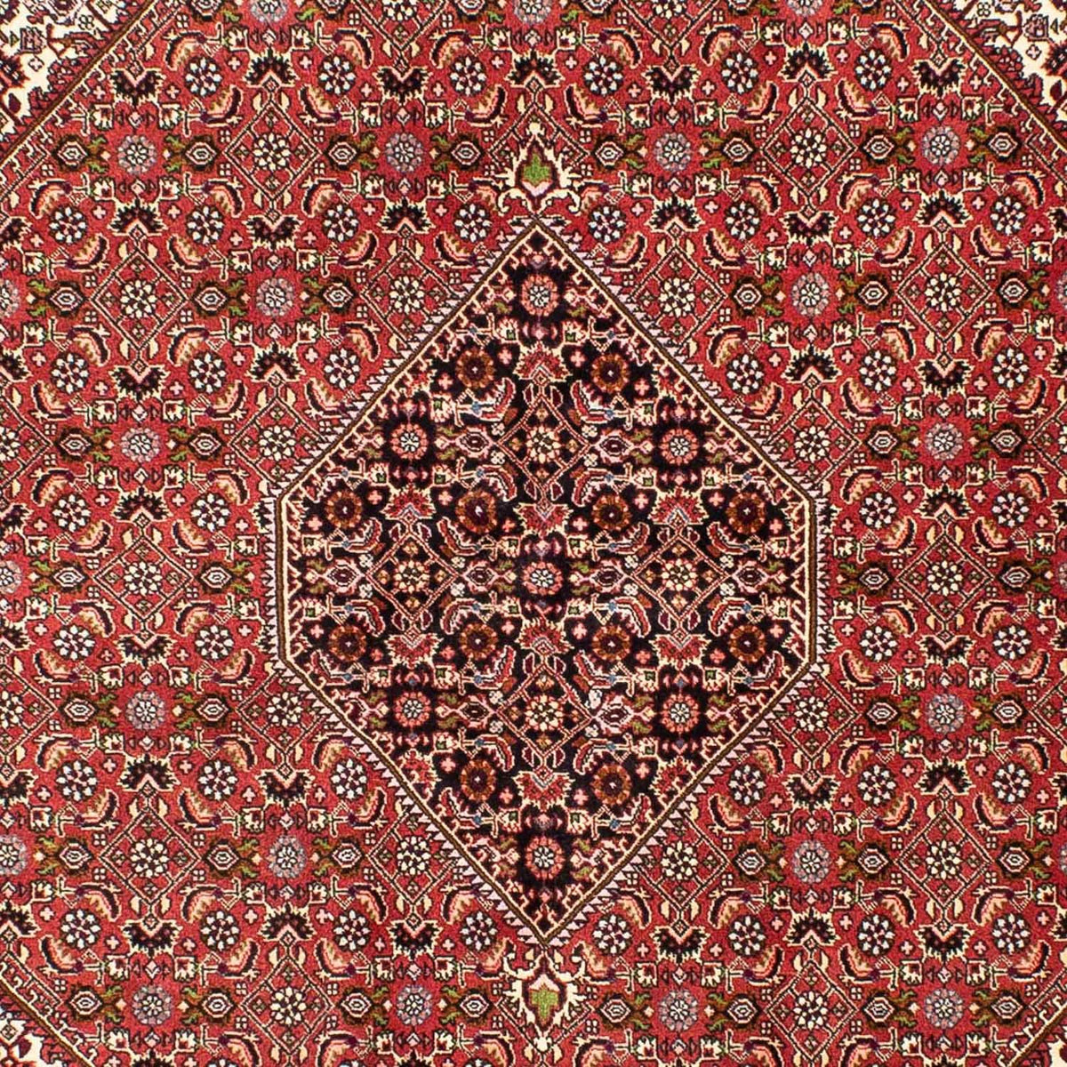 Tapis persan - Bidjar - 250 x 175 cm - rouge clair