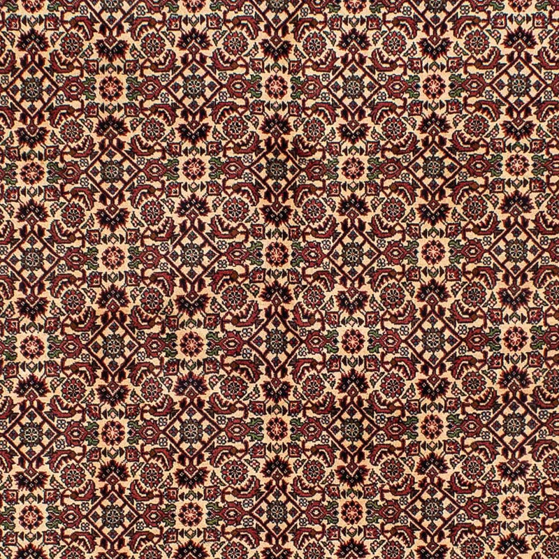 Tapis persan - Bidjar - 249 x 172 cm - marron