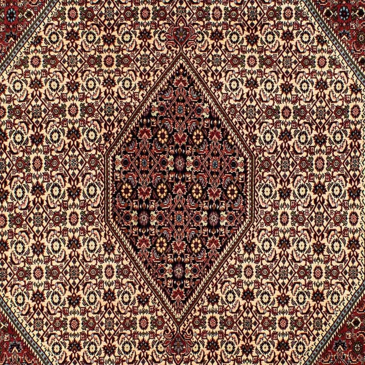 Tapis persan - Bidjar - 300 x 200 cm - beige