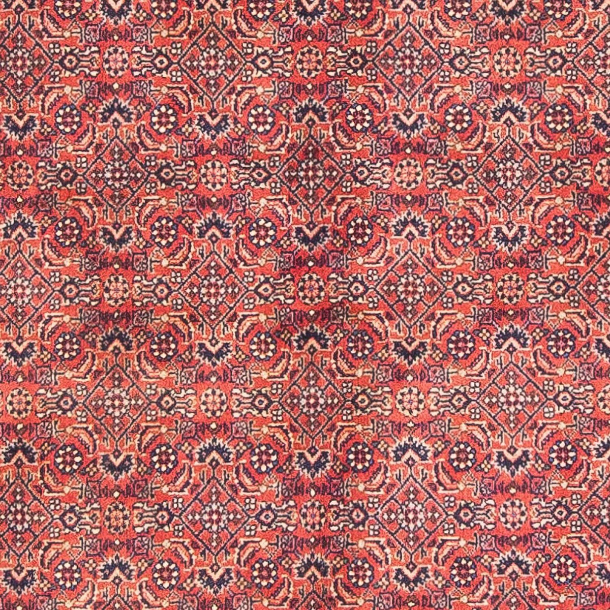 Tapis persan - Bidjar - 154 x 90 cm - rouge
