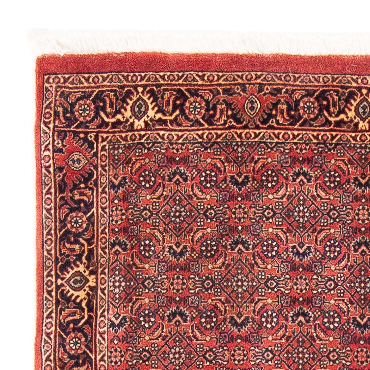 Tapis persan - Bidjar - 154 x 90 cm - rouge