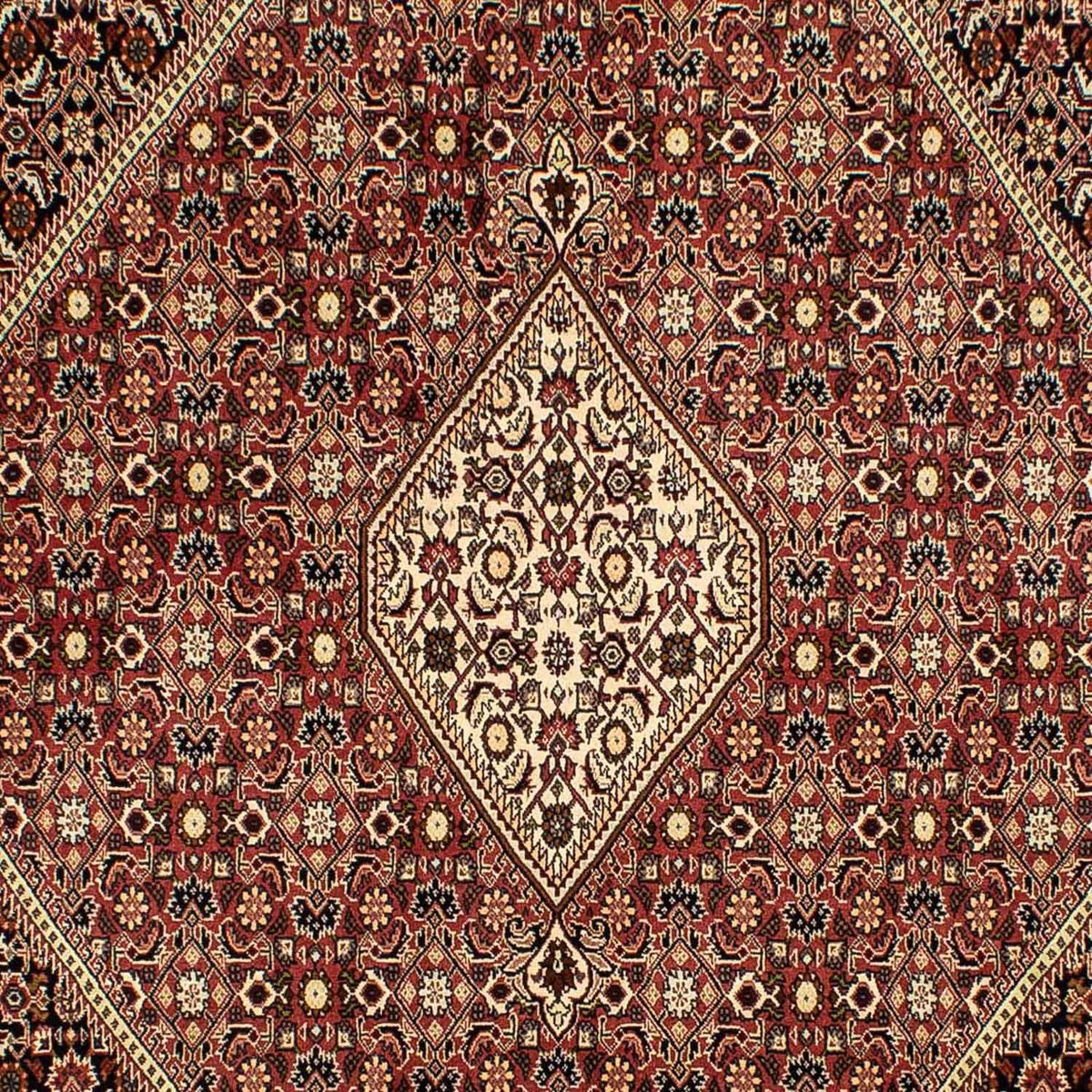 Tapis persan - Bidjar - 290 x 198 cm - marron