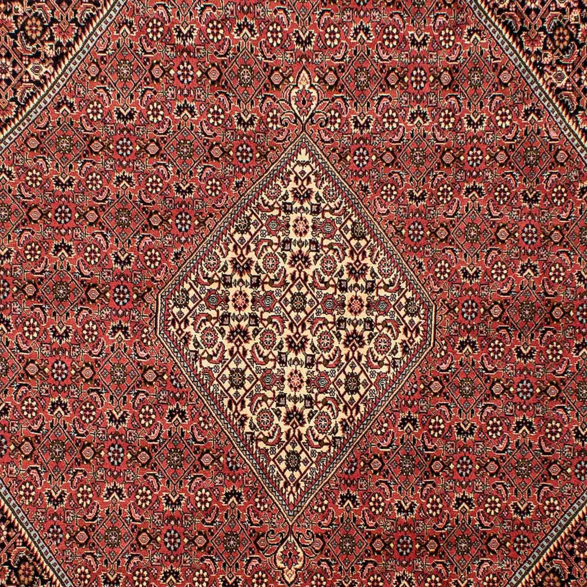 Tapis persan - Bidjar - 293 x 205 cm - rouge clair