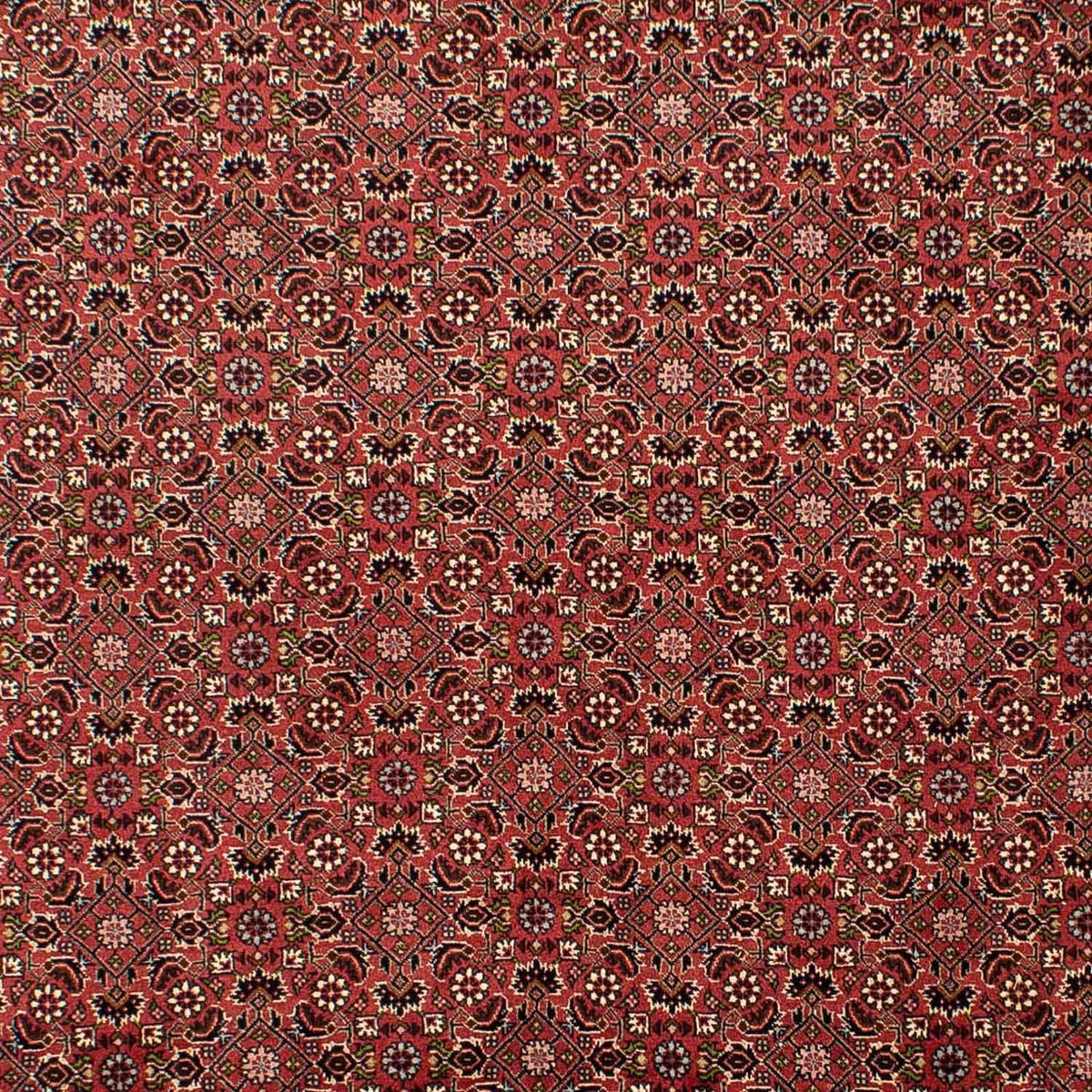 Tapis persan - Bidjar - 310 x 196 cm - rouge foncé