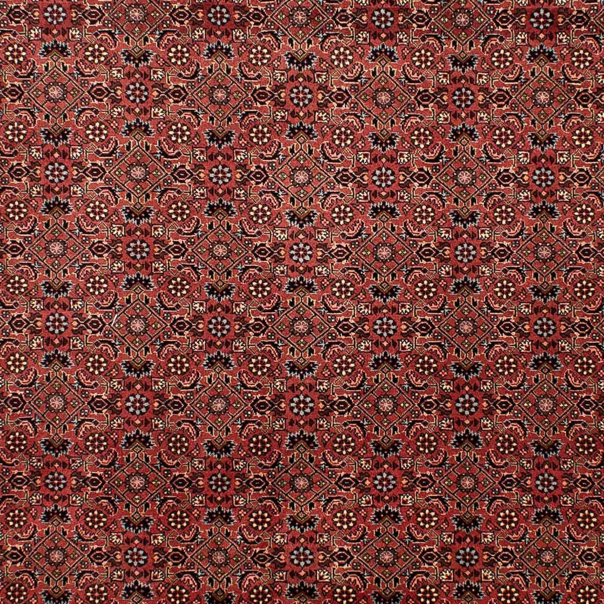Tapis persan - Bidjar - 292 x 203 cm - rouge foncé
