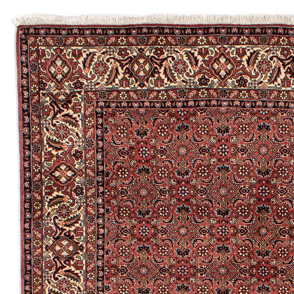 Tapis persan - Bidjar - 292 x 203 cm - rouge foncé