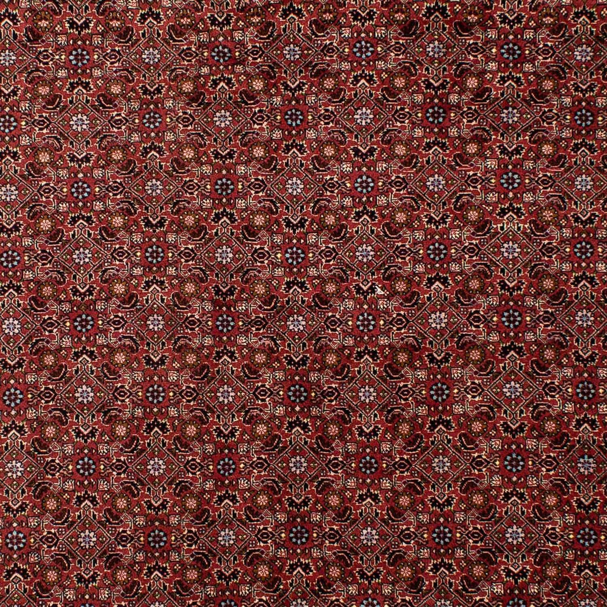 Tapis persan - Bidjar - 288 x 198 cm - rouge foncé
