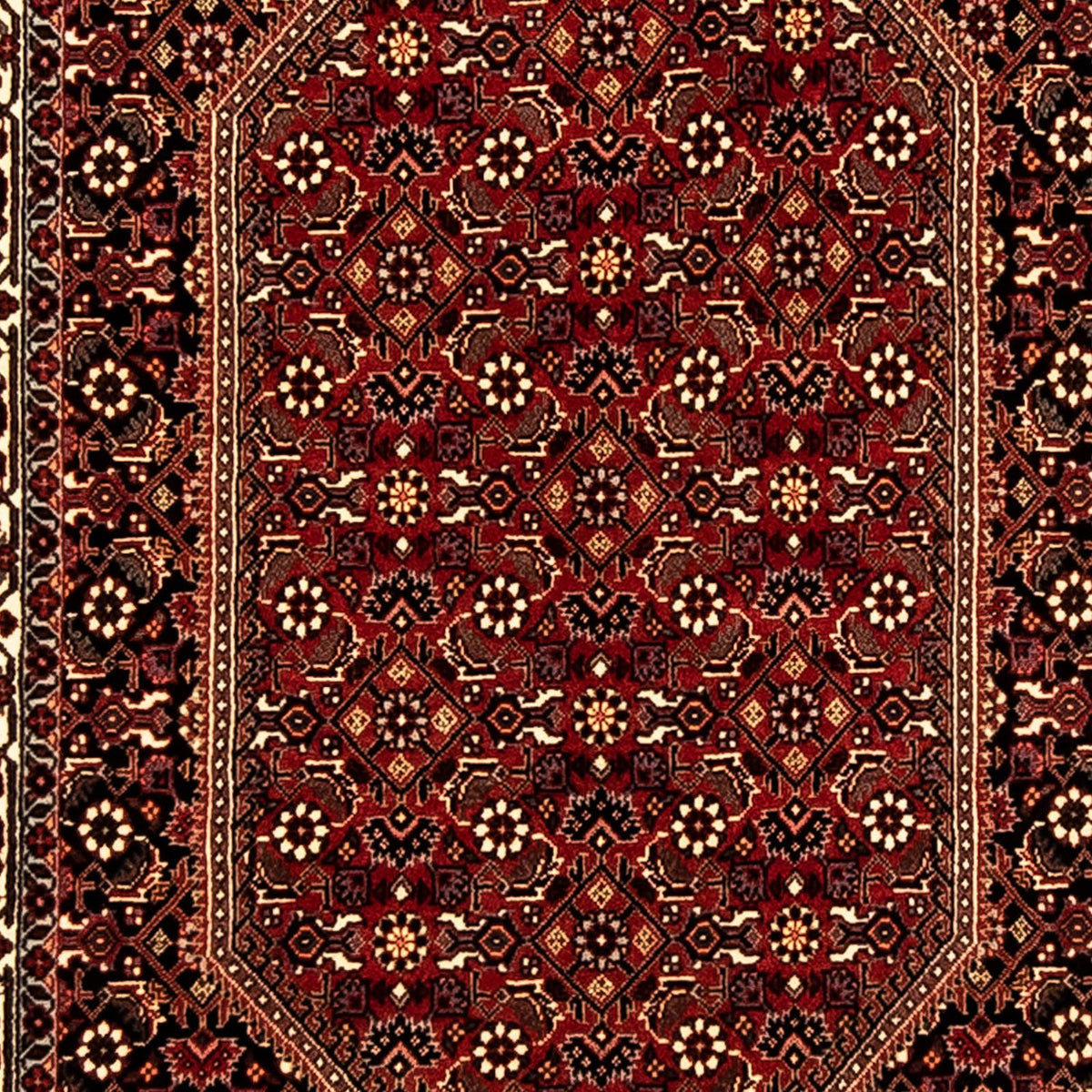 Tapis de couloir Tapis persan - Bidjar - 310 x 83 cm - multicolore