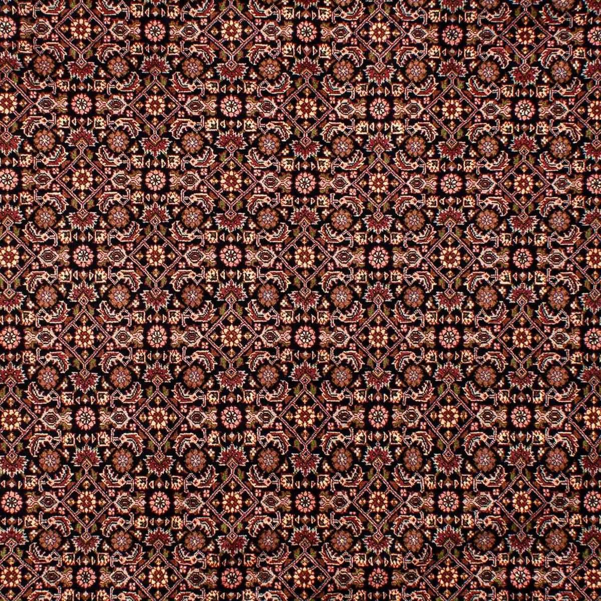 Tapis persan - Bidjar - 292 x 199 cm - bleu foncé
