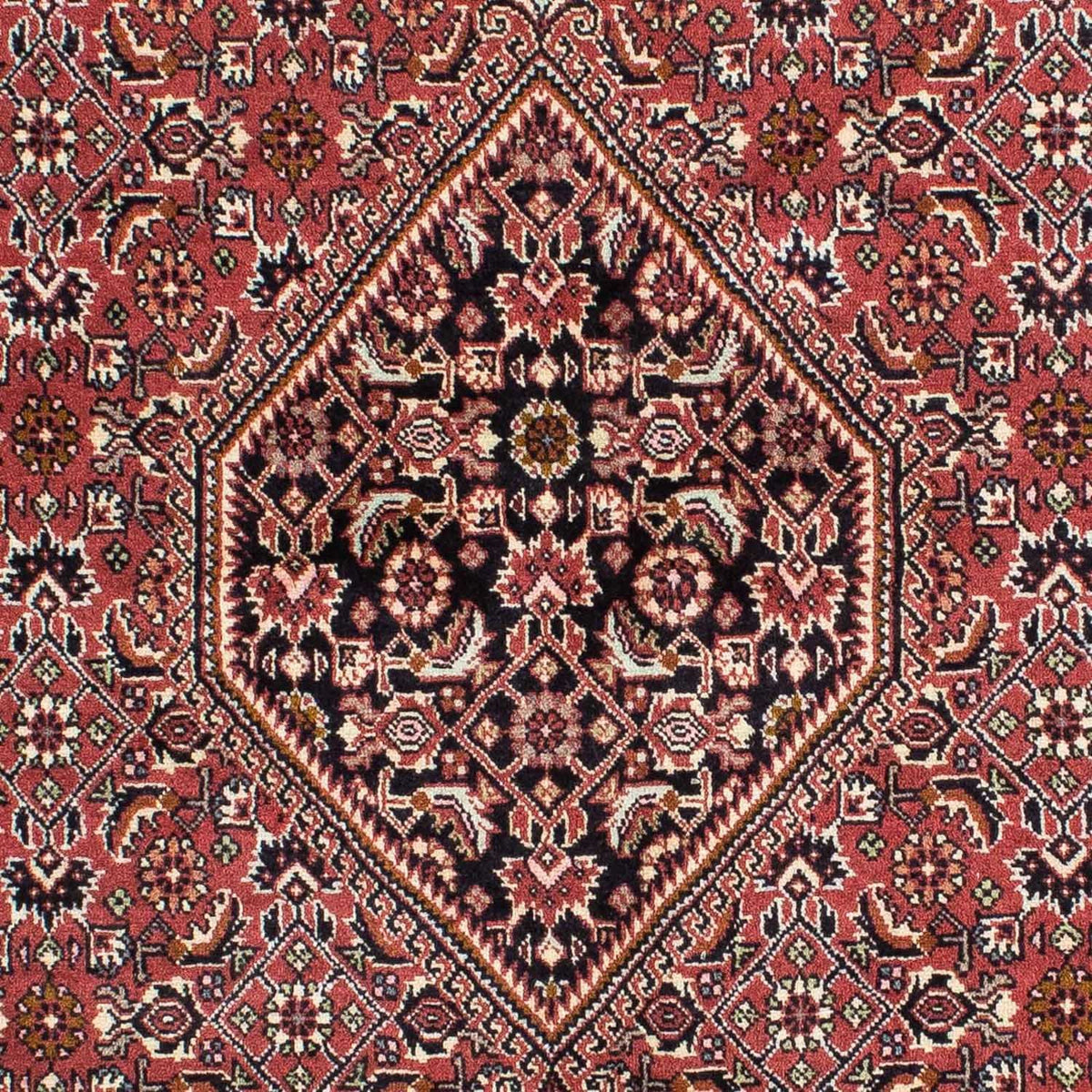 Tapis persan - Bidjar - 228 x 142 cm - rouge