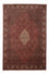 Tapis persan - Bidjar - 288 x 200 cm - marron