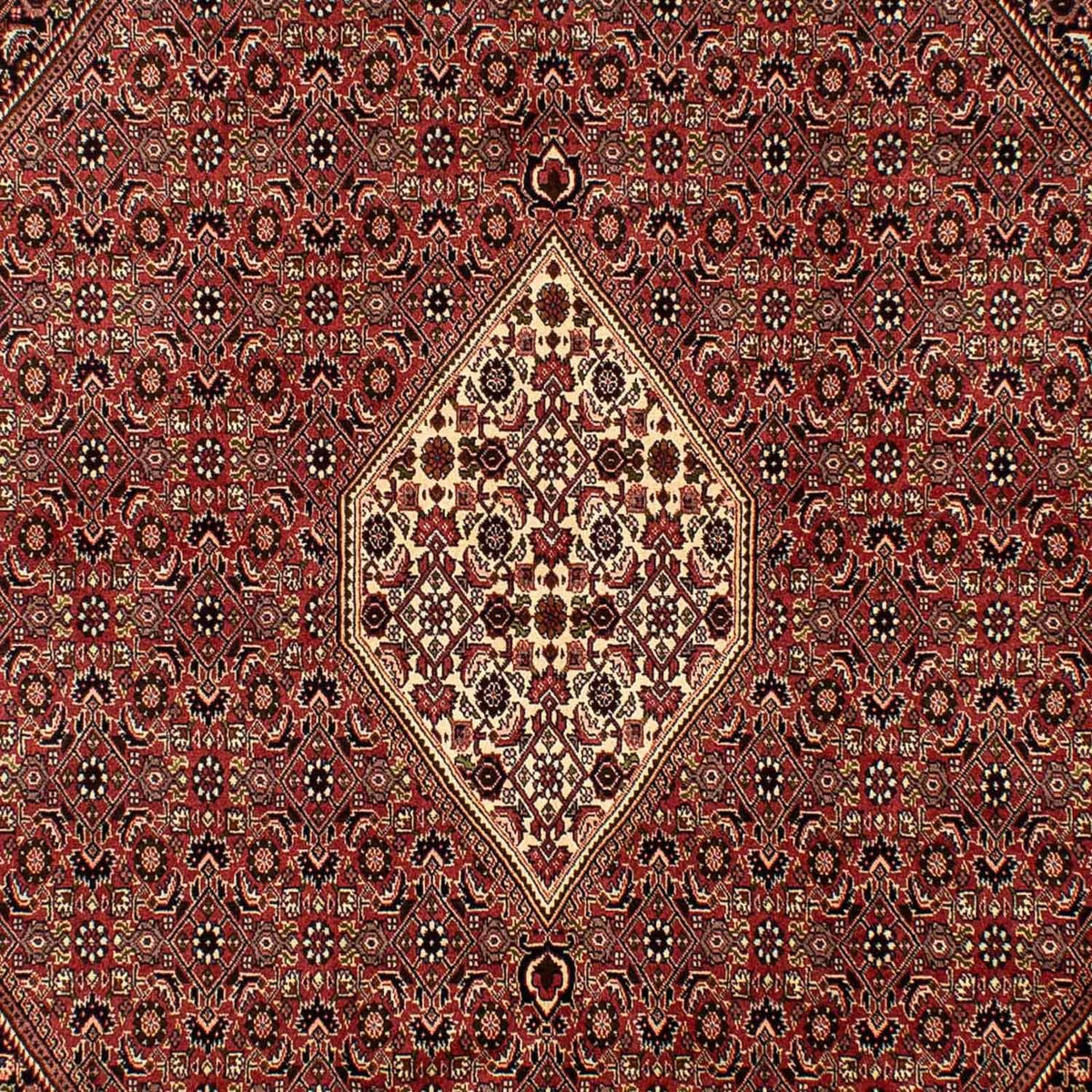 Tapis persan - Bidjar - 288 x 200 cm - marron