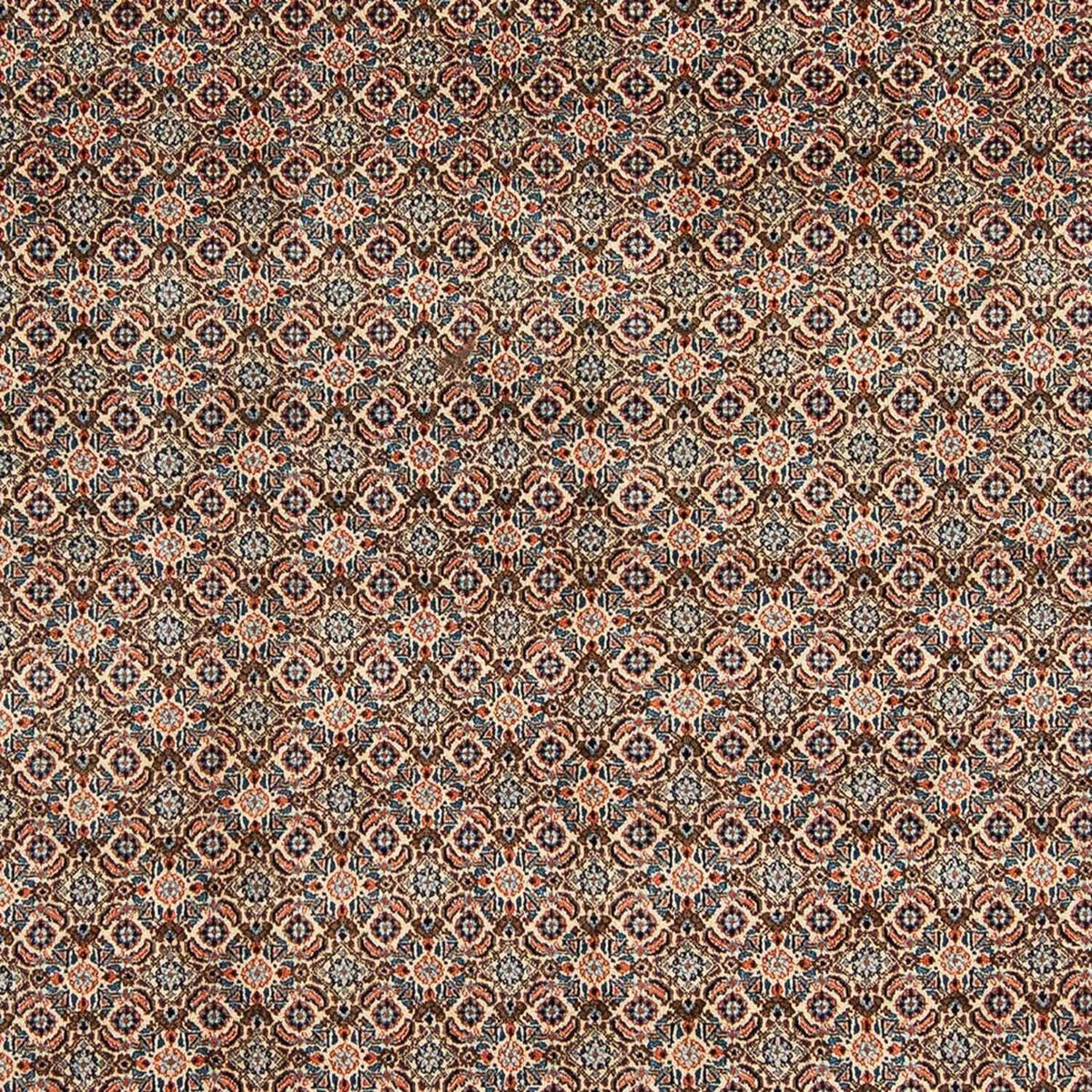 Tapis persan - Classique - 303 x 204 cm - beige