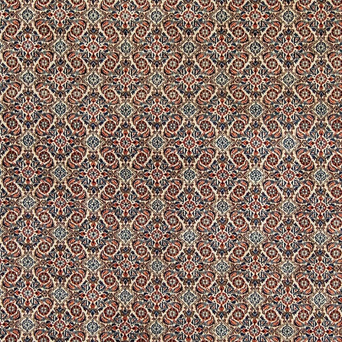 Tapis persan - Classique - 304 x 210 cm - beige