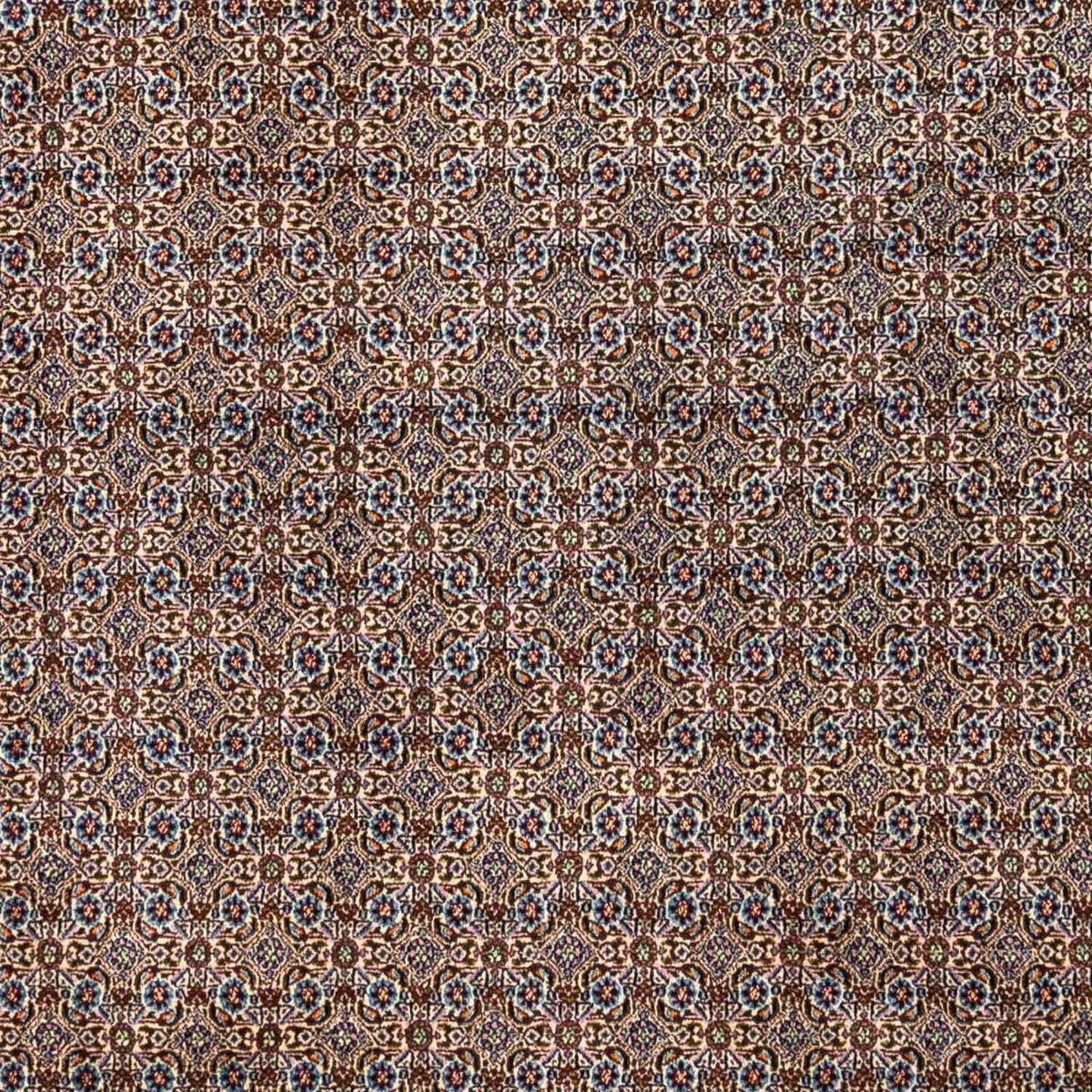 Tapis persan - Classique - 345 x 248 cm - beige